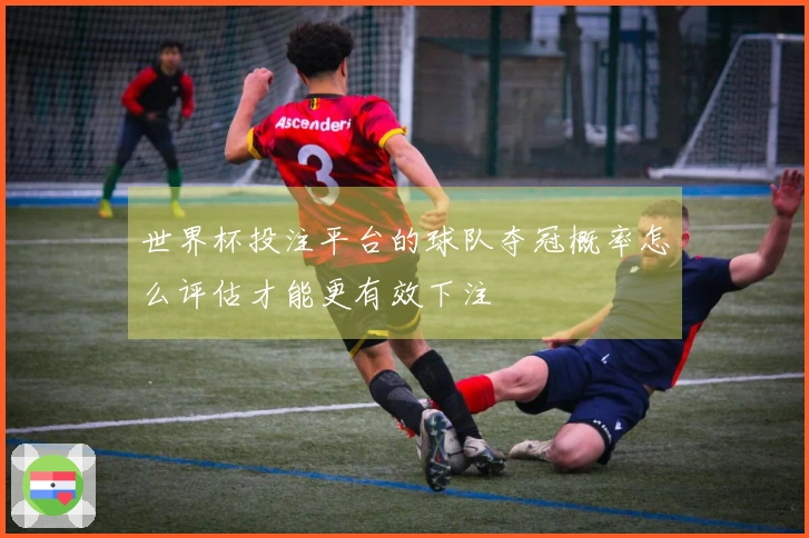世界杯投注平台的球队夺冠概率怎么评估才能更有效下注