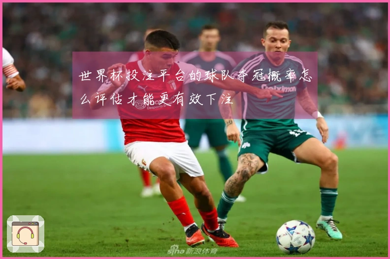世界杯投注平台的球队夺冠概率怎么评估才能更有效下注