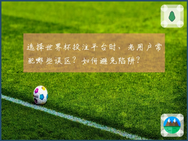 选择世界杯投注平台时，老用户常犯哪些误区？如何避免陷阱？